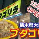 【新規OPEN!!】12月7日にオープンしたG系ラーメンのお店でG系初体験してみる！『ブタゴリラ』栃木県大田原市新富町