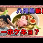 鶯屋 UGUISUYA　八咫烏プロデュース 新店！祖師ヶ谷大蔵　東京美味しいラーメン 南高梅　シソオイル　梅しそラーメン　世田谷グルメ