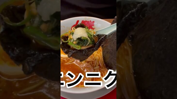 山岡家辛味噌大辛ラーメン海苔に味玉包みたいむ#shorts【一人飯】【飯テロ】【暇つぶし】【ASMR】【ラーメン】