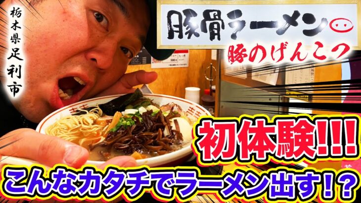 【新店！豚骨ラーメン 豚のげんこつ】こんなカタチでラーメンを提供するお店は初めて！栃木県足利市！