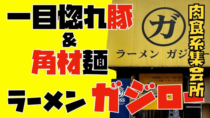 【宇都宮らーめん】ラーメンガジロー　マイルド二郎、真四角麺に飲みやすい非乳化スープ。そして豚に一目惚れ！！