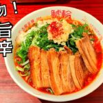 【ラーメン】名古屋の新名物！？麺屋はなび監修『鯱輪』の旨辛にんにくラーメンを紹介♪