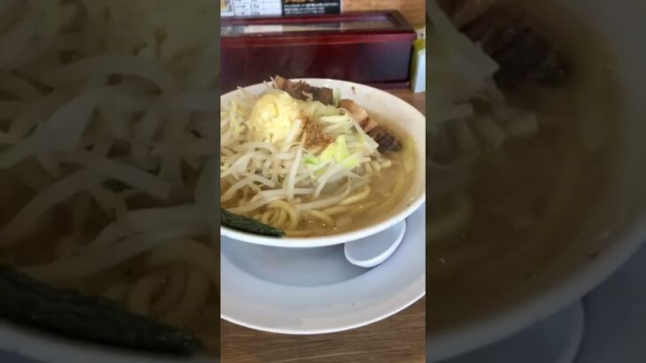 【二郎系ラーメン】しずる  塩らーめん350g #shorts