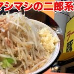 【豚山】野菜マシマシ！二郎系らーめん【大森】