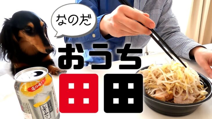 【八王子テイクアウト】二郎系ラーメン「田田」をおうちで食べる🍜✨　ペットショップの売れ残りと元保護犬の日常