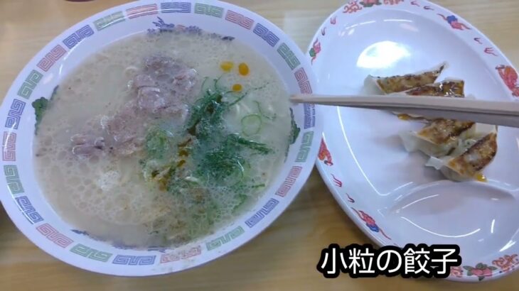 博多ラーメン290円！【はかたや西新店】サザエさん縁の地