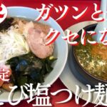 【ラーメン山岡家】山岡家の期間限定えび塩つけ麺を食べに行ったら、えびをガツンと感じる美味しい一杯を頂けました【岐阜 ラーメン】