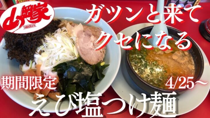 【ラーメン山岡家】山岡家の期間限定えび塩つけ麺を食べに行ったら、えびをガツンと感じる美味しい一杯を頂けました【岐阜 ラーメン】