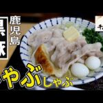 【新店】創業50年！鹿児島市の老舗ちゃんこ屋の至高の一杯▽麺 千代茶屋（鹿児島市）▽鹿児島ラーメン▽鹿児島グルメ▽飯テロ▽381杯目