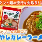 【新ご当地】ボンカレーで簡単にできちゃう！しょうゆ香る！京風 『冷やしカレーラーメン』【大和イチロウ】