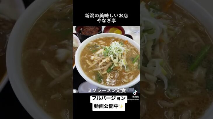 やなぎ亭　#shorts #新潟ラーメン #冷やし中華 #つけめん