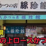 埼玉県 豚珍館で爆食🐖！ぶひーくるしぃ食べすぎました。