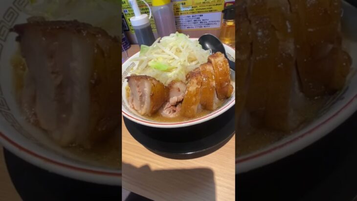 門仲に新しくできた二郎系の店で麺普通、肉多め、野菜普通で頼んだらお腹一杯でその日はこれ以外なにも食べなかったです。でも美味しかったので今度行く時は麺半分、肉普通、野菜少なめで頼もうと思いました。