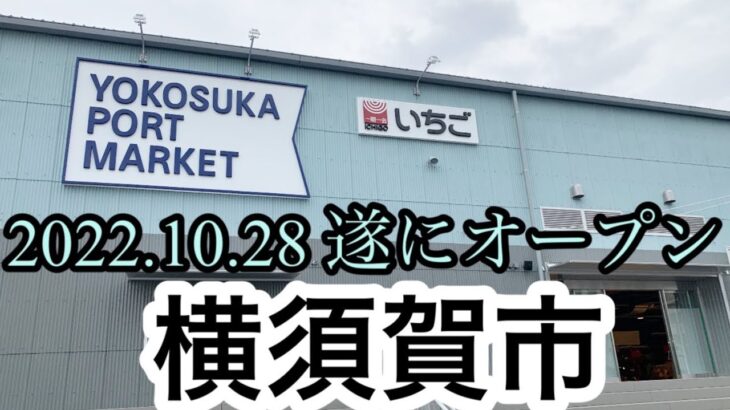 【新店ラーメン情報】2022.10.28 遂に全貌が明らかに！横須賀市！逗子？葉山？で花火がまさか？？たまや〜おめでとうございます