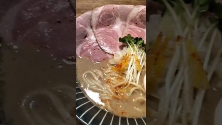 超濃厚！鶏白湯ラーメン【鶏に恋した日@八尾】