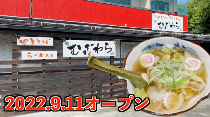 【新店オープン】ご夫婦の優しさが乗り移った中華そば