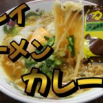 #26【カレイラーメン カレー味】濃厚カレー味(*´▽｀*)