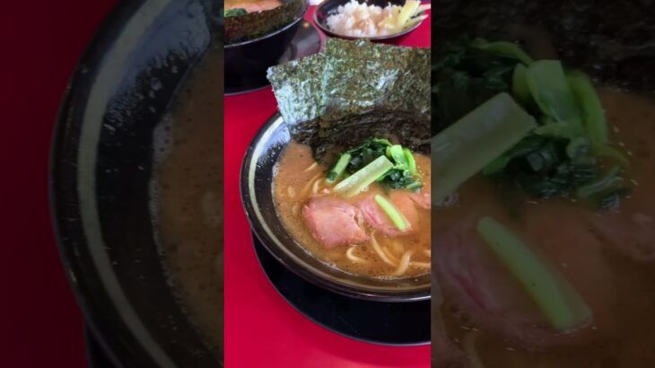 【たつ家】王道家グループ家系ラーメン・宇都宮