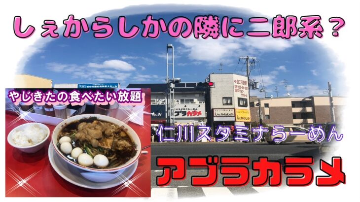 【宝塚】仁川スタミナらーめん　アブラカラメ