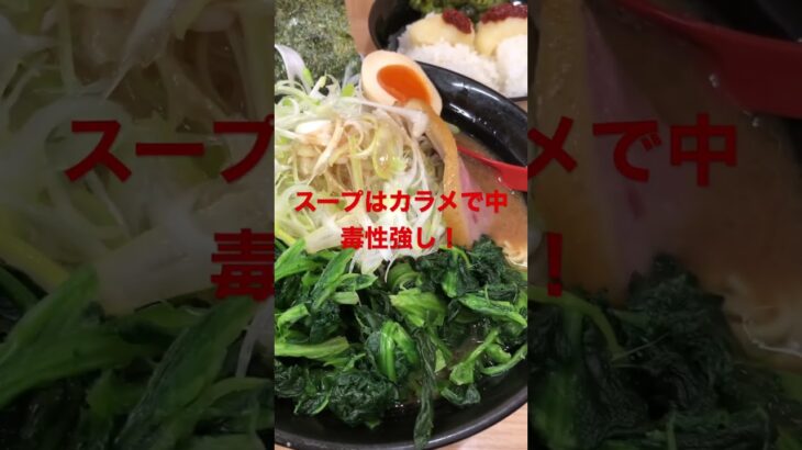 武蔵家　家系ラーメン　御茶ノ水店　旨いねー😋バランス最高でしょ！裏三浦家じゃないですか！