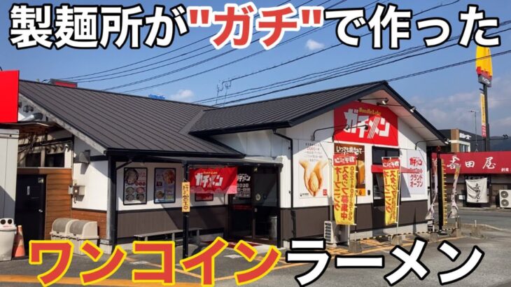 【福岡・筑紫野】「ヌードルラボ ガチメン」製麺所がガチで作った豚骨ラーメンがワンコインで食べられる【一杯五百円】【福岡ラーメン】