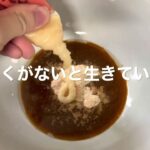 スーパーで買った家系？ラーメンを適当に作ってみた