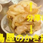 【焼鳥日高】【ビッグエコー】【てんや】【ラーメン春樹】【吉野家持ち帰り】小田原ぶらり旅★食い倒れました！