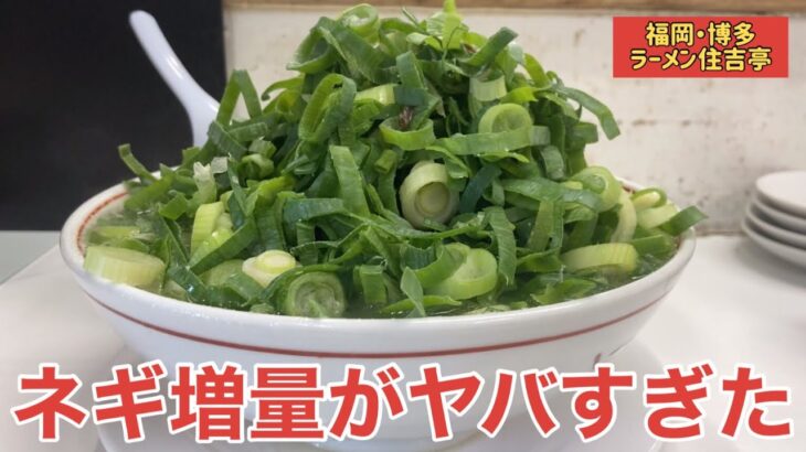 【ネギの山】「ラーメン住吉亭」かつてない爆盛りネギ！ネギ増量が凄すぎる老舗博多ラーメン店【福岡ラーメン】【博多ラーメン】