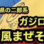 【二郎系の和風って？】　和風まぜそば　ガジロー