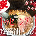 【ラーメン山岡家】期間限定ラスト！プレミアム醤油とんこつのトッピングを全部追加して堪能♪【岐阜 ラーメン】