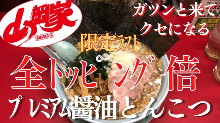 【ラーメン山岡家】期間限定ラスト！プレミアム醤油とんこつのトッピングを全部追加して堪能♪【岐阜 ラーメン】