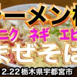 栃木県産ネギ✖︎刻みニンニク✖︎エビマヨまぜそば【ラーメン桜】栃木県宇都宮市2022.12.22 🍜 Japanese delicious ramen🍜