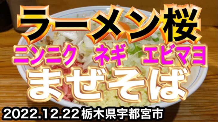 栃木県産ネギ✖︎刻みニンニク✖︎エビマヨまぜそば【ラーメン桜】栃木県宇都宮市2022.12.22 🍜 Japanese delicious ramen🍜