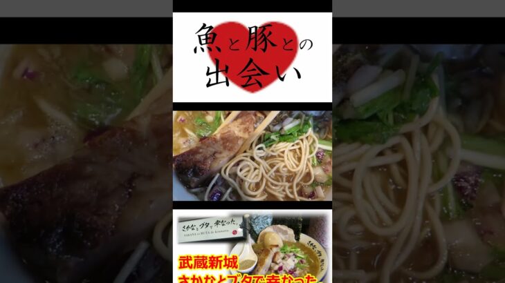 【個性派ラーメン】さかなとブタで幸なった 武蔵新城駅北口 ラーメン新店激戦区 ショート動画 #Shorts