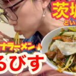 【茨城県】スタミナラーメン『えるびす』茨城県民のおすすめのスタミナラーメンの冷やしを食べてみた！！