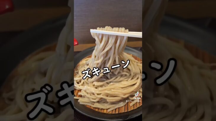 【金沢ラーメン】つけ麺是・空　極濃どろつけ麺　#noodle #ramen #movie #라면