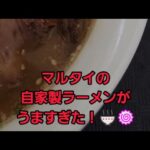 マルタイラーメンがうますぎた…！🍜🍥#shorts