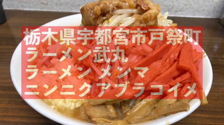 宇都宮市戸祭町「ラーメ武丸」爆っとゴチ ラーメンメンマ ニンニク アブラ コイメ