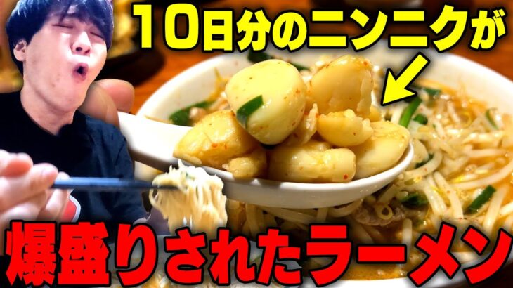 【超ニンニク】このラーメンを食べたら絶対に人に会うな。刺激100%のニンニクラーメンをすする 新京 名古屋伏見店【飯テロ】SUSURU TV.第2667回