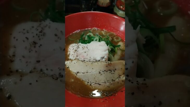 【伏見ラーメンラリー2023】【麺心よし田】つけ麺専門店でのラーメンって、どうなん？　 #京都グルメ #つけ麺   #たぁ坊の一人遊びチャンネル