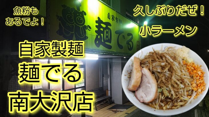 【自家製麺麺でる】小ラーメン（250ｇ）を食べる！【南大沢店】