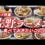 【グルメ特集】佐野ラーメン 特集 佐野ラーメンの象徴、青竹打ちのあっさり醤油ラーメンを堪能出来る8杯 老舗から勢いのある一大勢力まで一挙紹介【ラーメン】 #佐野ラーメン #栃木グルメ #栃木県グルメ