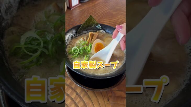 濃厚豚骨の王道！美味しさのこだわりは…  #らーめん #ラーメン #shorts #グルメ #お取り寄せ #めん虎