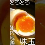 【激ウマ】ラーメン食べてきた！（20230410_中華蕎麦とみ田）Chuukasoba-TOMITA