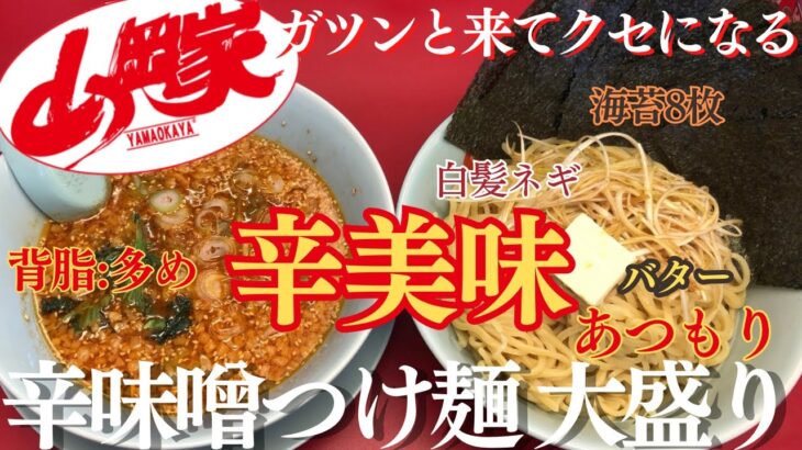 【ラーメン山岡家】辛味噌つけ麺をあつもりバターONして濃厚な一杯に❗️相性抜群の海苔8枚と白髪ネギで堪能✨【岐阜 ラーメン】