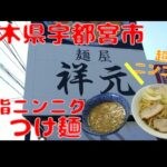 【栃木グルメ】祥元で背脂ニンニクつけ麺を食す【飯動画】【栃木県宇都宮市】