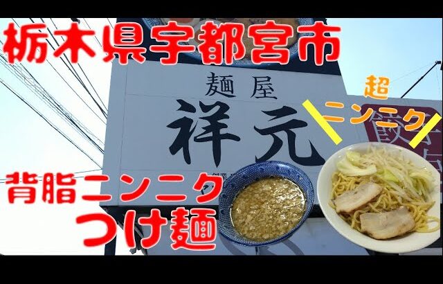 【栃木グルメ】祥元で背脂ニンニクつけ麺を食す【飯動画】【栃木県宇都宮市】