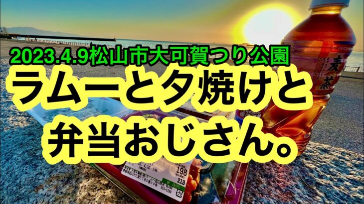 【ラムーでテイクアウトしました。】(ラムー松山西店)愛媛の濃い〜ラーメンおじさん(2023.4.9県内714店舗訪問完了)