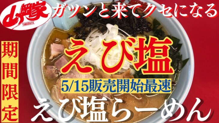 【ラーメン山岡家】5/15販売開始✨えび塩らーめんでえびを堪能♪【岐阜 ラーメン】