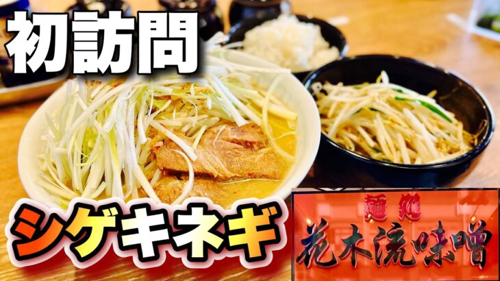 【白髪ネギラーメン】新店ができた！！もちもち麺と甘味噌を堪能するおっさんを見よ『花木流味噌』神奈川県藤沢市/飯テロ/Ramen/Miso/